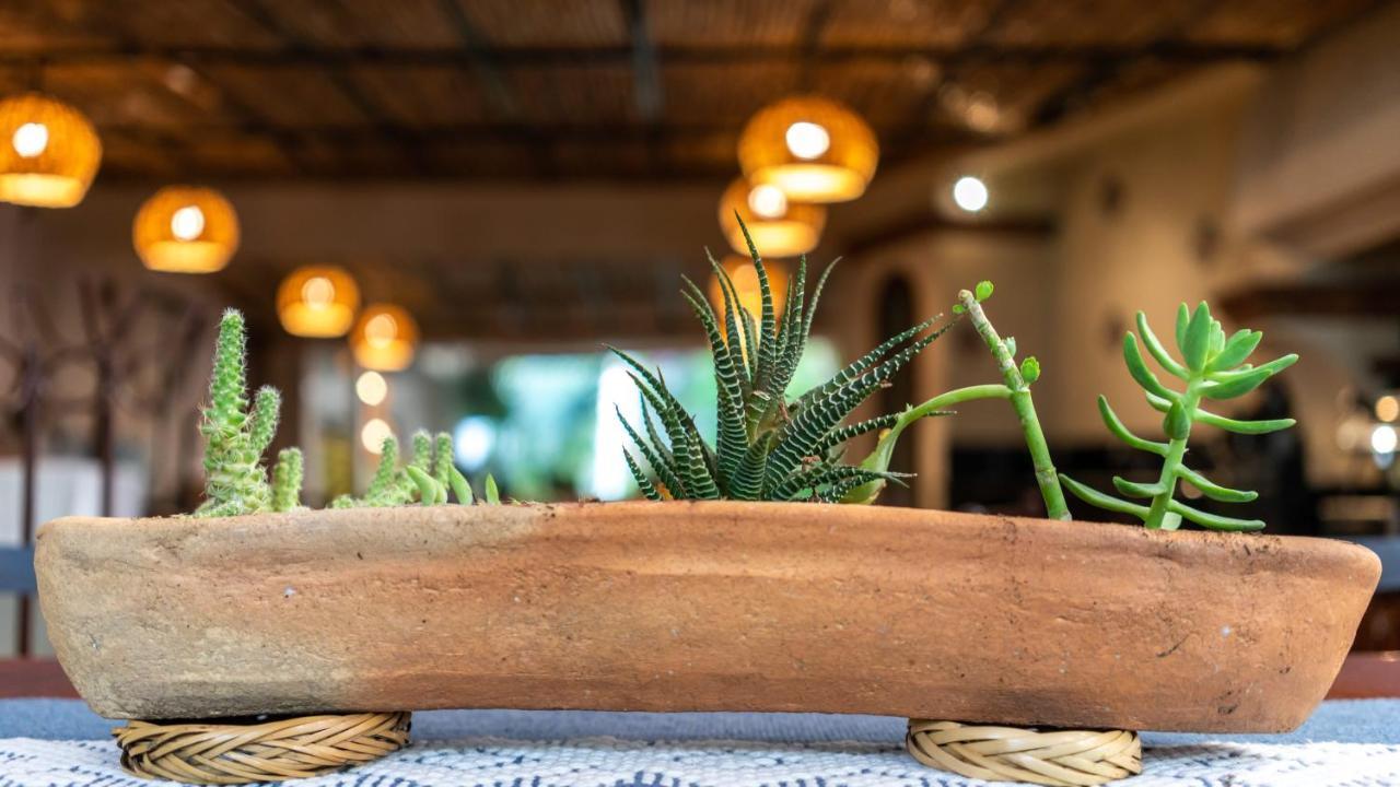 Casa Los Cantaros Hotel Boutique Oaxaca المظهر الخارجي الصورة