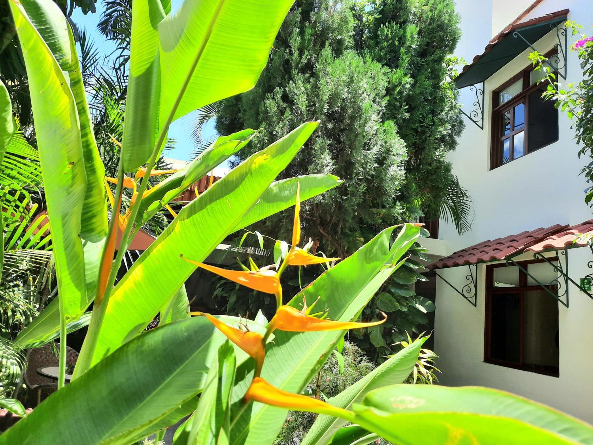Casa Los Cantaros Hotel Boutique Oaxaca المظهر الخارجي الصورة