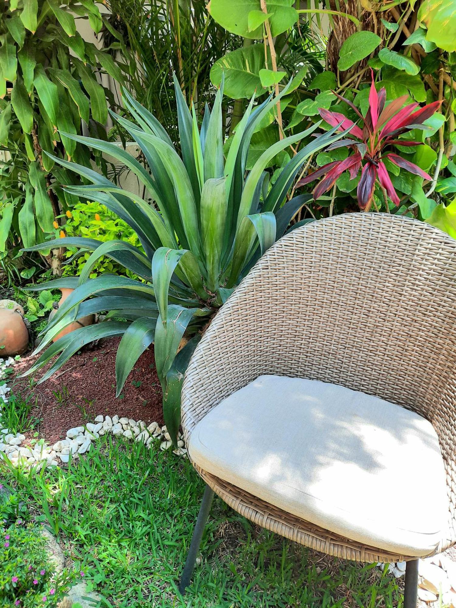 Casa Los Cantaros Hotel Boutique Oaxaca المظهر الخارجي الصورة