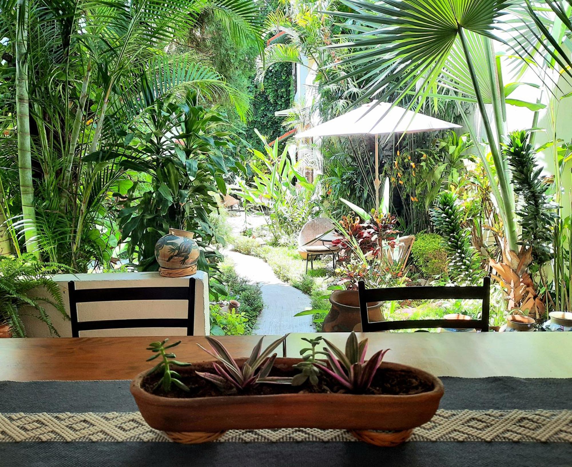 Casa Los Cantaros Hotel Boutique Oaxaca المظهر الخارجي الصورة